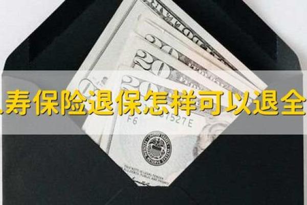 如何顺利退保中英人寿保险？详细步骤解析